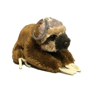 O NATIONAL GEOGRAPHIC L[`F[ i}Pm 770795D iViWIOtBbN ʂ L[O  V  Aj} Mtg v[g a j 蕨 ubNt