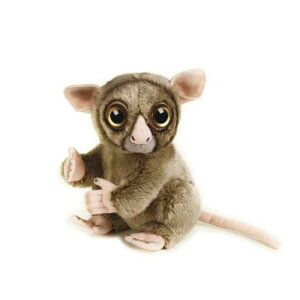 O NATIONAL GEOGRAPHIC KlU 26cm 770772 iViWIOtBbN ʂ  V  Aj} Mtg v[g a j 蕨 ubNtCf[ NX}X