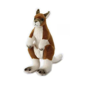 O NATIONAL GEOGRAPHIC �J���K���[ 27cm 770834 �i�V���i���W�I�O���t�B�b�N �ʂ������ �������� �����V�� ���� �A�j�}�� �M�t�g �v���[���g �a���� ���j�� ���蕨 �u���b�N�t���C�f�[ �N���X�}�X
