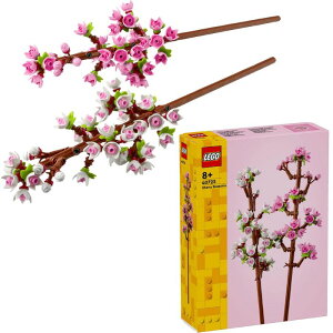 O S (LEGO) 40725S(R)  tBMA Q[ ߋ m a Mtg SubN Cherry Blossom    ͌^ 8Έȏ l 蕨 NX}X v[g NX}Xv[g j