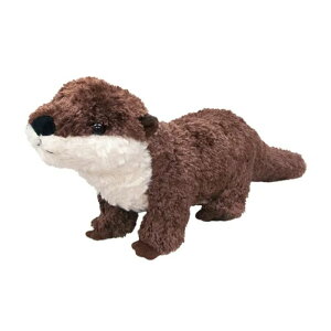 P g 180343 JE\ ʂ  6 ybg b Mtg v[g a j 蕨 ubNtCf[ NX}X