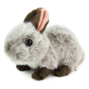 P g 180498 ETM(O[) 肭̂Ȃ܂ ʂ  6 ybg b Mtg v[g a j 蕨 ubNtCf[ NX}X