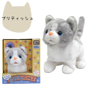 O Vit Heart Bbgn[g 悿悿ɂ񂱁yXReBbVEAJV[gwAEueBbVz  3 V V b ybg V Mtg v[g 