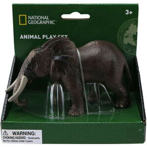 NATIONAL GEOGRAPHIC ]E NTS01002 tBMA iViWIOtBbN  V 3 a v[g Mtg j̎q ̎q ubNtCf[ NX}X