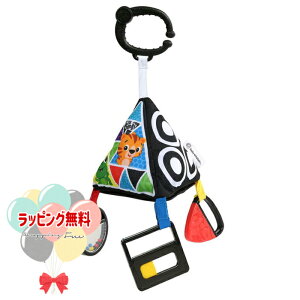 Kids2 Baby Einstein 11533 vCtEs~bh LbYc[ xr[ACV^C z ł g Ԃ xr[ 0 mߋ oYj w^ V Mtg v[