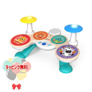 Kids2 Baby Einstein 12804 fbNXE}WbN^b`Eh LbYc[ xr[ACV^C ؐ ؂̂ y h yV wV xr[gC mߋ V xr[ 1 