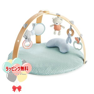 Kids2 ingenuity 12126 R[W[X|bg o[VuW LbYc[ CWFjCeB xr[W xr[}bg  j̎q ̎q vCW Ԃ xr[ 0 m oYj M
