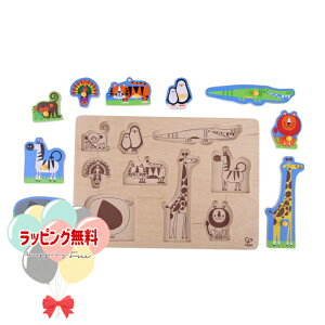 Hape ny E1403 ChAj} yOpY  CI ܂ j yM g Ⴍ   2 ؐ ؂̂ ߋ  xr[ xr[ߋ V oYj Mtg v