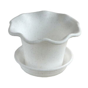 ~jϗtrI|bg Mt N[zCg e500ml (100~Vbv 100~ψ 100ψ 100)