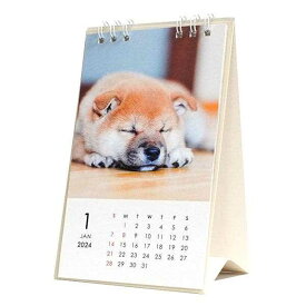 卓上カレンダー 2024年 卓上タテ型 イヌ (100円ショップ 100円均一 100均一 100均)