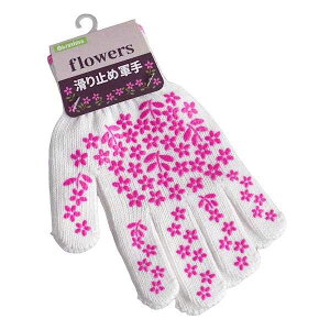 fBXp~ߌR t[ 21cm mFwsn (100~Vbv 100~ψ 100ψ 100)