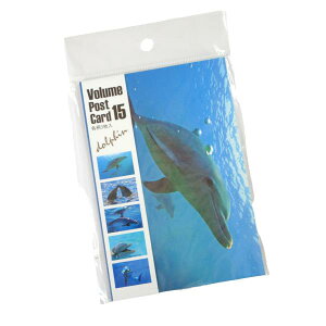 {[|XgJ[h A\[g CJ 15 (100~Vbv 100~ψ 100ψ 100)