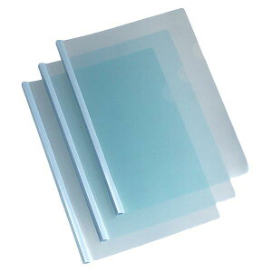 [t@C ݃J[ 30.5×22cm 3 mFwsn (100~Vbv 100~ψ 100ψ 100)