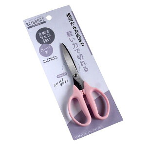 J[u͂ 16.8cm mFwsn (100~Vbv 100~ψ 100ψ 100)