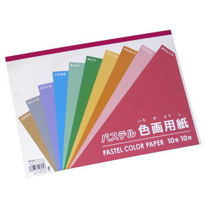 パステル色画用紙 10色 25.3×35.2cm 10枚入 (100円ショップ 100円均一 100均一 100均)