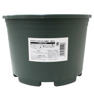 プラスチックプランター 丸型大 20cm (100円ショップ 100円均一 100均一 100均)