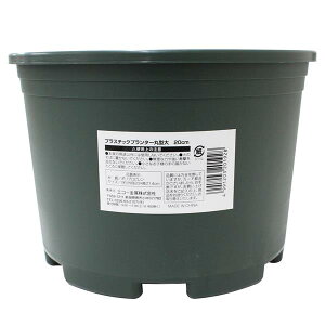 vX`bNv^[ ی^ 20cm (100~Vbv 100~ψ 100ψ 100)