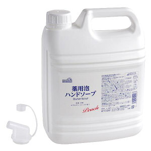 pAnh\[v X}C`CX ݂݂s[`̍ 4L