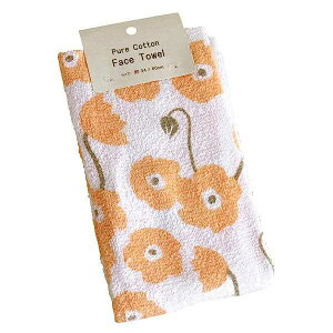 tFCX^I ni 34×80cm mFwsn (100~Vbv 100~ψ 100ψ 100)