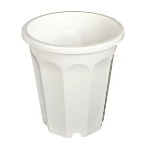 Aؔ 10p   8(a24.5×26.3cm)