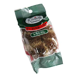 g킵 VR (100~Vbv 100~ψ 100ψ 100)