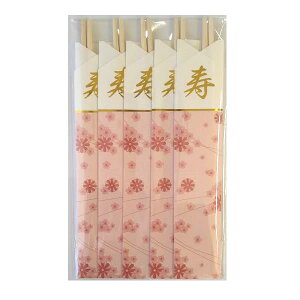 j t 5V (100~Vbv 100~ψ 100ψ 100)