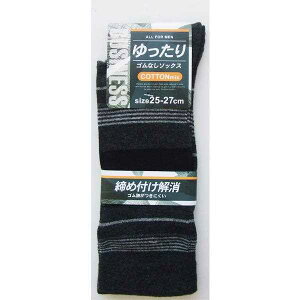 Cam ȍSȂ10핿\bNX 25~27cm mFwsn (100~Vbv 100~ψ 100ψ 100)