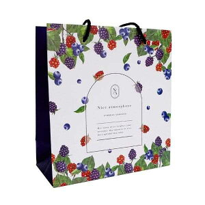 y[p[obO ʃt[c 24×22×}`10cm mFwsn (100~Vbv 100~ψ 100ψ 100)