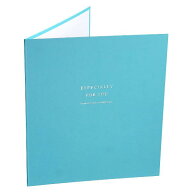 2つ折り色紙 サンクス&ラブ 27.2×48.9cm ［色指定不可］ (100円ショップ 100円均一 100均一 100均)