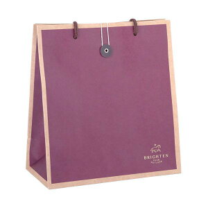 y[p[obO NtgJ[  M(24×22×}`11cm) mFwsn (100~Vbv 100~ψ 100ψ 100)