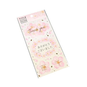 ^CgfR[VV[  SD (100~Vbv 100~ψ 100ψ 100)