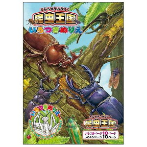 ʂ肦  20y[W (100~Vbv 100~ψ 100ψ 100)