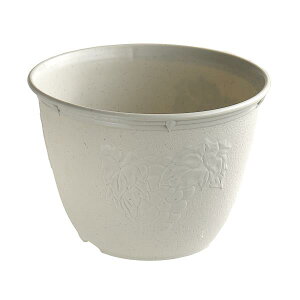 Aؔ rIfR zCg 8(a24×17cm)