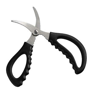 RpNgɗp͂ mFwsn (100~Vbv 100~ψ 100ψ 100)