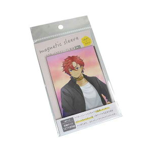 }OX[u L 2 (100~Vbv 100~ψ 100ψ 100)