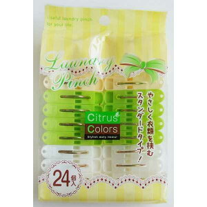 Citrus Colors h[s` 24 (100~Vbv 100~ψ 100ψ 100)