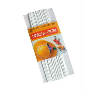 1{ۃS  7m (100~Vbv 100~ψ 100ψ 100)