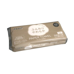 エルモア ふんわりやわらかペーパータオル 19.8×23cm 240枚(120組)入 (100円ショップ 100円均一 100均一 100均)