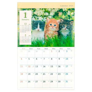 J_[ 2026 Ǌ| A3 lRʐ^ (100~Vbv 100~ψ 100ψ 100)