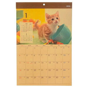 J_[ 2026 Ǌ| B4Ntg lRʐ^ (100~Vbv 100~ψ 100ψ 100)