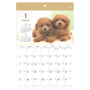 J_[ 2026 Ǌ| A4 Ckʐ^ (100~Vbv 100~ψ 100ψ 100)