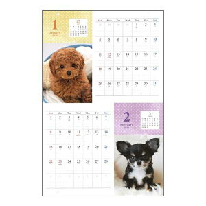 J_[ 2026 J B3 Ckʐ^ (100~Vbv 100~ψ 100ψ 100)