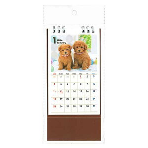 J_[ 2026 ^e^ Ckʐ^ (100~Vbv 100~ψ 100ψ 100)