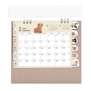 J_[ 2026 CfbNX Ckʐ^ (100~Vbv 100~ψ 100ψ 100)