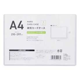A4硬質カードケース (100円ショップ 100円均一 100均一 100均)