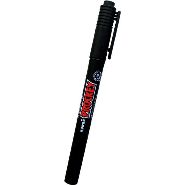 楽天市場】サインペン プロッキー 極細+細 黒 (100円ショップ 100円 