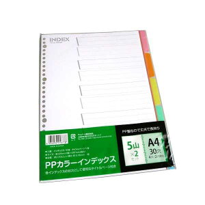 PPJ[CfbNX A4TCY 30 ^Cg1ECfbNX5R×2Zbg (100~Vbv 100~ψ 100ψ 100)