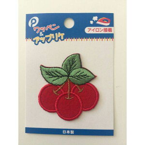 AbvP TN{ 4D7×5D1cm ACڒ (100~Vbv 100~ψ 100ψ 100)