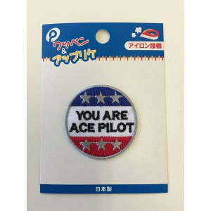 AbvP AJ p^[I a4D1cm ACڒ (100~Vbv 100~ψ 100ψ 100)