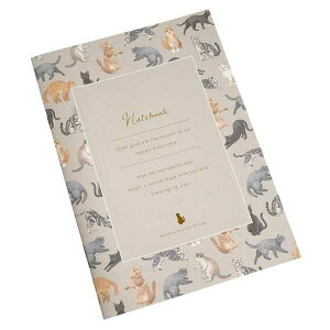 A5Ԃm[g ˂ 48y[W mFwsn (100~Vbv 100~ψ 100ψ 100)